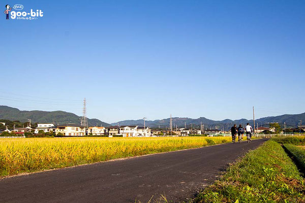 足柄の高校生が田んぼの脇を通ります！（南足柄市）