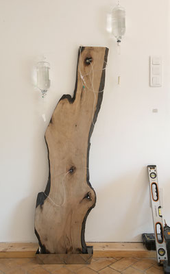 Fragments d'une forêt 2, 2013, tranche d'arbre, matériel de perfusion, sérum physiologique, bac inox, 180x70x20cm.