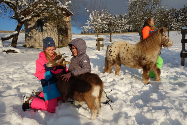 Zwei Mädchen und ein Bub tollen mit einem weißen Pony und einer braunen Ziege im Schnee umher.