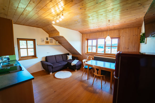 Wohnraum mit Sitzecke, Sofa und Küche, großes Fenster