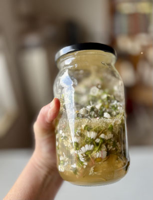 Gänseblümchen im Glas – bereit zum Ziehen