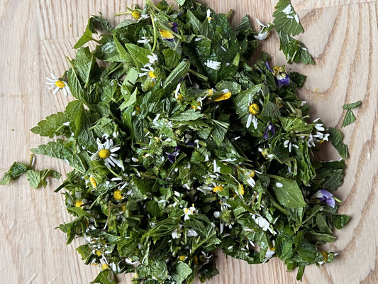 → Oxymel-Ansatz mit Zitronenmelisse, Gänseblümchen, Hornveilchen wird vorbereitet