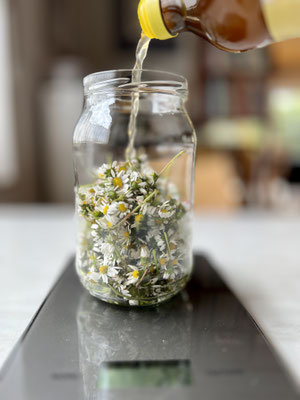 Gänseblümchen werden mit Essig übergossen