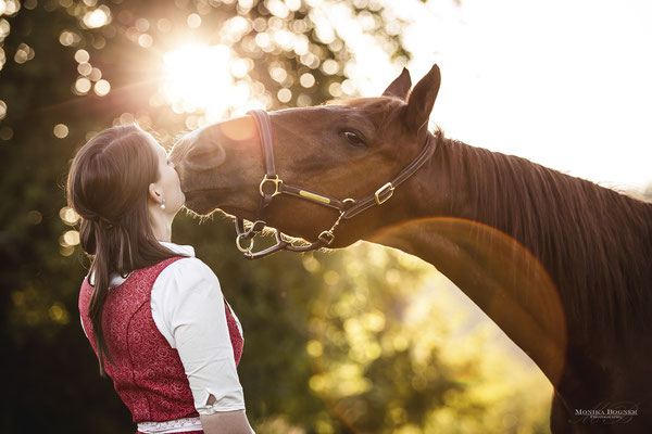 Kuschelfoto Mensch und Pferd