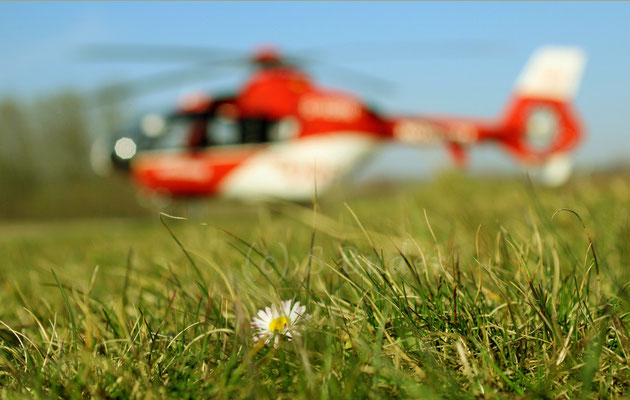 Frühling in Nordhausen, März 2015