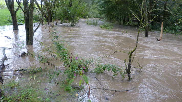 Schlimmes Hochwasser am 13. September 2014