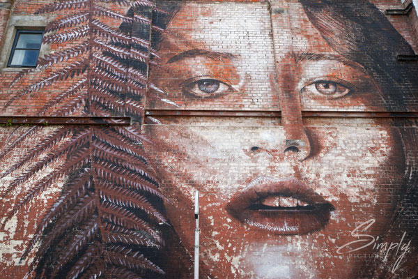Christchurch, Portraitgrafiti auf einer Hauswand