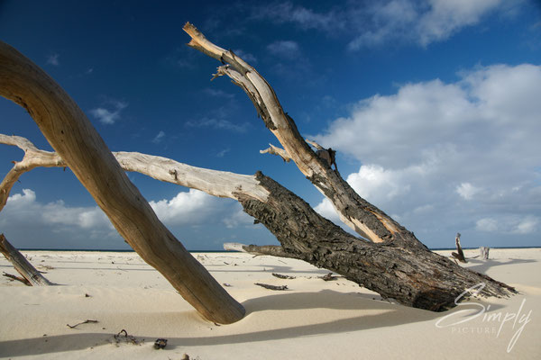 Weisser Sandstrand mit alten, verbleichten Ästen