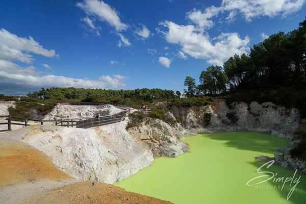 Rotorua, Wai-O-Tapu, leuchtend gelb-grüner Vulkansee