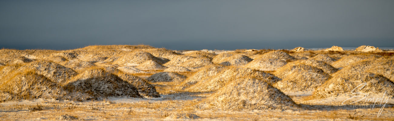 Beschneites Lavafeld zwischen der Ringstrasse und dem Strand Landeyjahöfn.