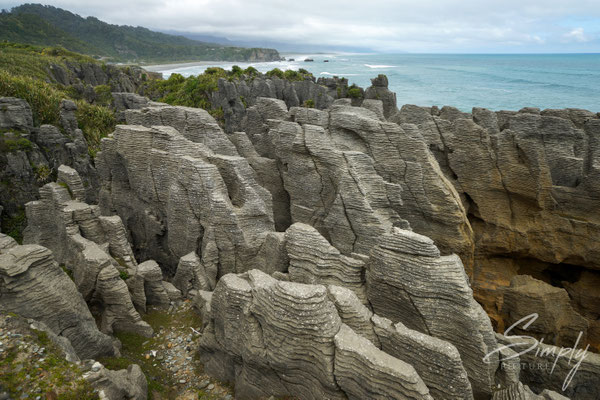 Punakaiki Pancake Rocks, Sicht auf die Gesteinsschichten mit dem blauen Meer im Hintergrund