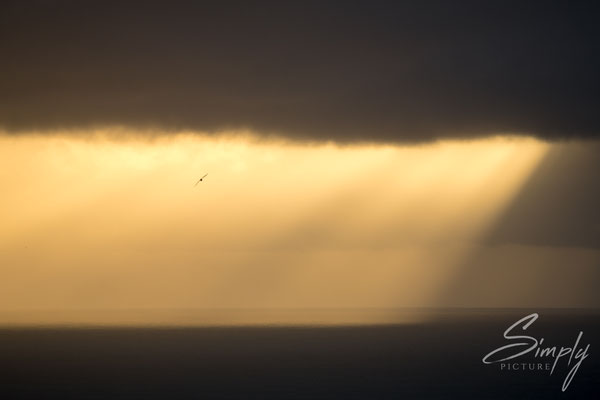 Goldige Abendstimmung mit dunklen Wolken bei dem Dyrhólaey Leuchtturm.