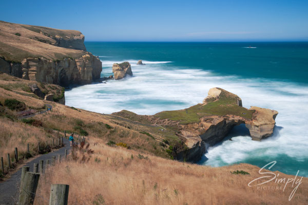 Tunnel Beach, Nähe Dunedin, Übersicht über die Küste mit starker Brandung
