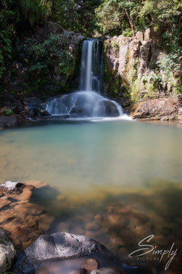Waikat, Waiau Fall, Wasserfall im Wald, Langzeitaufnahme