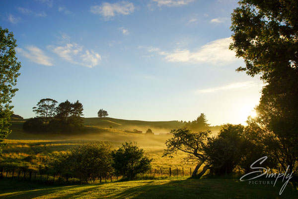 Kahoe, Kahoe Farms Hostel BBH, Gold-gelber Sonnenaufgang im Grasland