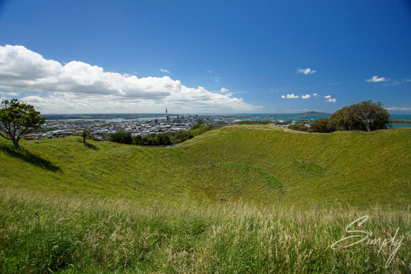 Aukland, güne Wiese auf dem Mount Eden Summit mit Sicht auf die Stadt