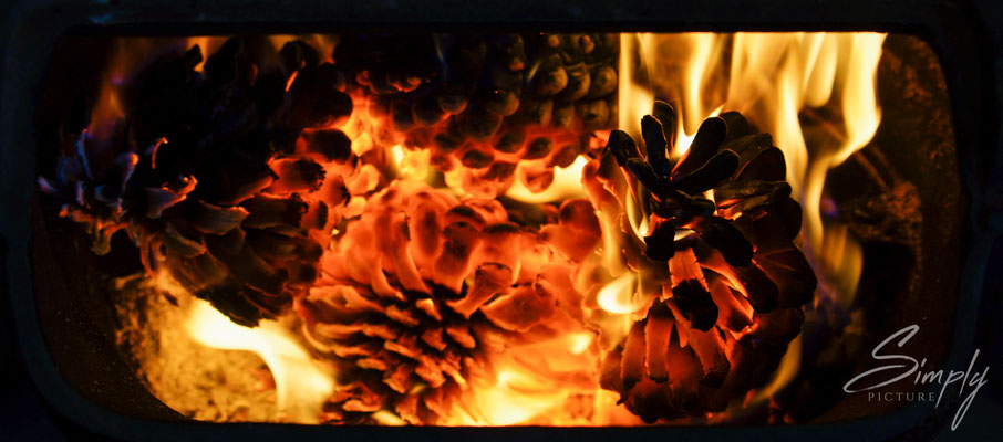 Manapouri, Freestone Lodges and Accommodation-rot-goldiges Feuer mit Tanzapfen