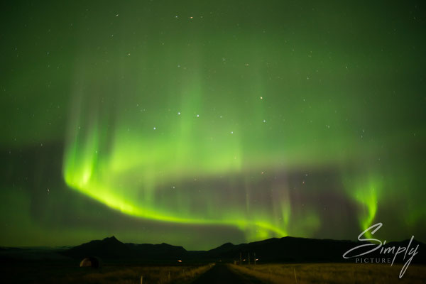 Intensives grün-gelbes Nordlicht in Island.
