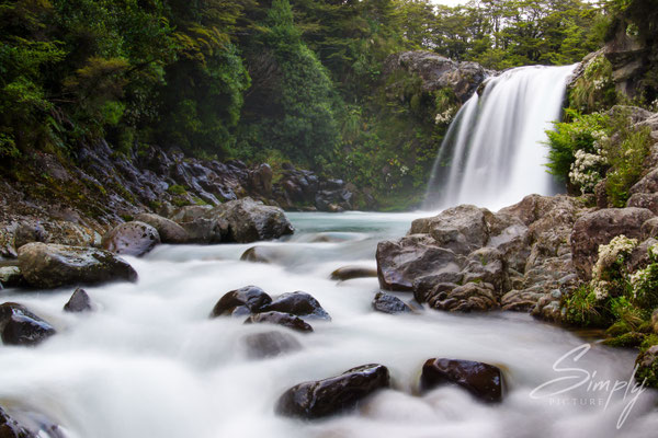 Tongariro Forest Park, Wanganui-Tawhai Falls, Gollums Pool, Wasserfall im Nationalpark, Langzeitaufnahme