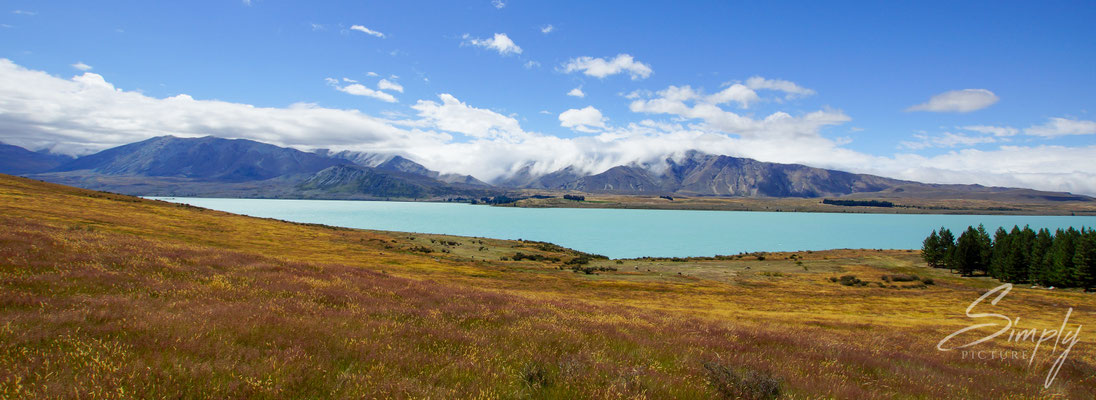 Lake Tekapo, Blick auf den hellblauen See mit Gletscherwasser