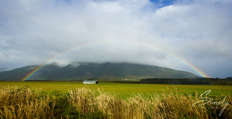 In der Nähe von Manapouri, Regenbogen über einem saftig grünen Feld mit einem kleinen Haus