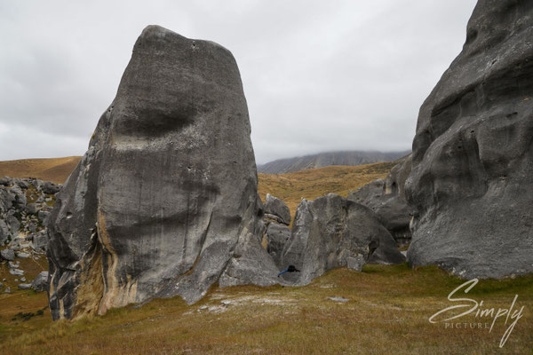 Kura Tawhiti, Castle Hill Conservation Area