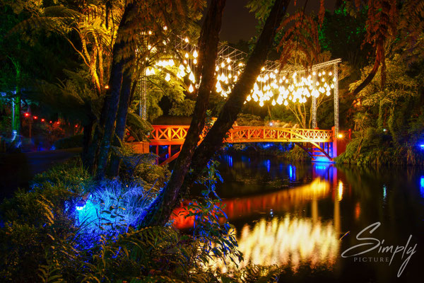 New Plymouth, Pukekura Park, Lichterfest, rote Brücke mit kreativer Beleuchtung und Spiegelung im Wasser