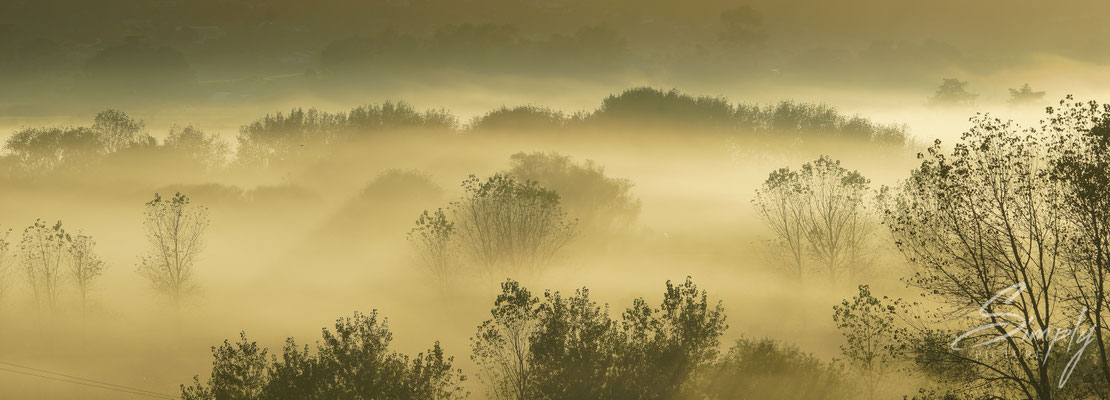 Helensville, Sonnenaufgang mit feinem Hebel und gelb goldigem Licht