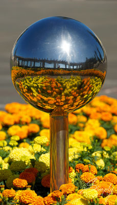 Napier, Sunken Gardens, Spiegelung von Blumen in einer glänzenden Kugel