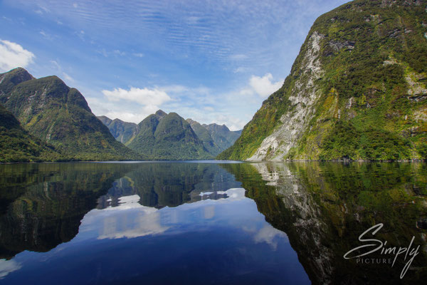 Manapouri, Doubtful Sound, Spiegelung im flachen Meerwasser der unberührten Felsen mit subtrobischen Urwald