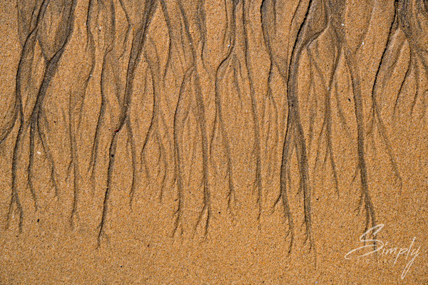 Wasser-Zeichnung im Sand am Strand Rauðisandur .