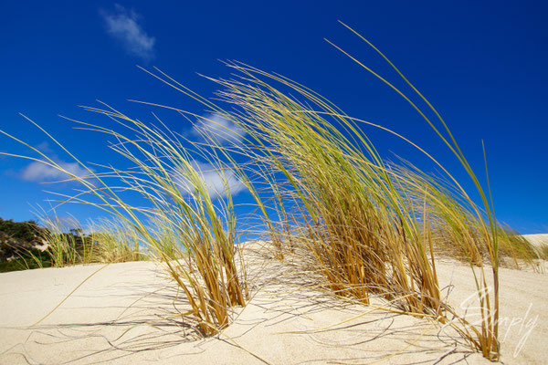 Strand im Nirgendwo