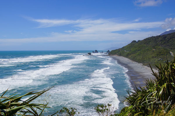 Muriwai Gannet Colony, Aussicht von der Gannet Colony auf einen der beliebten Surfstrände in Neuseeland