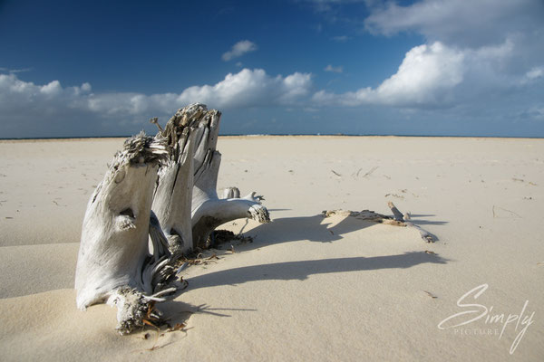 Weisser Strand mit altem weissem Baumstrunk im Sand