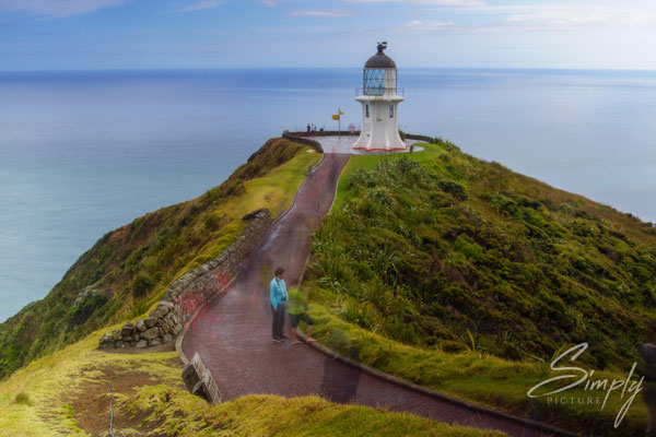 Pandora, Cape Reinga, weisser Leuchttum auf einem grünen Hügelspitz mit dem blauen Ocean im Hintergung