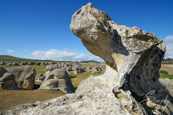 Kura Tawhiti, Castle Hill Conservation Area, Drachenprofiel aus Stein