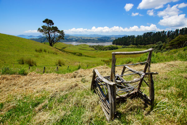 Coromandel, Flussmündung mit grünen Hügeln, Holzstuhl mit traumhafter Aussicht