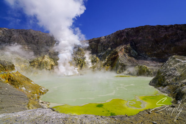 Whakaari, White Island, gelber, heisser Schwefelsee mit viel Dampf