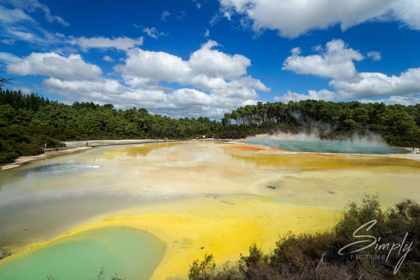 Rotorua, Wai-O-Tapu, gelb-blauer Vulkansee