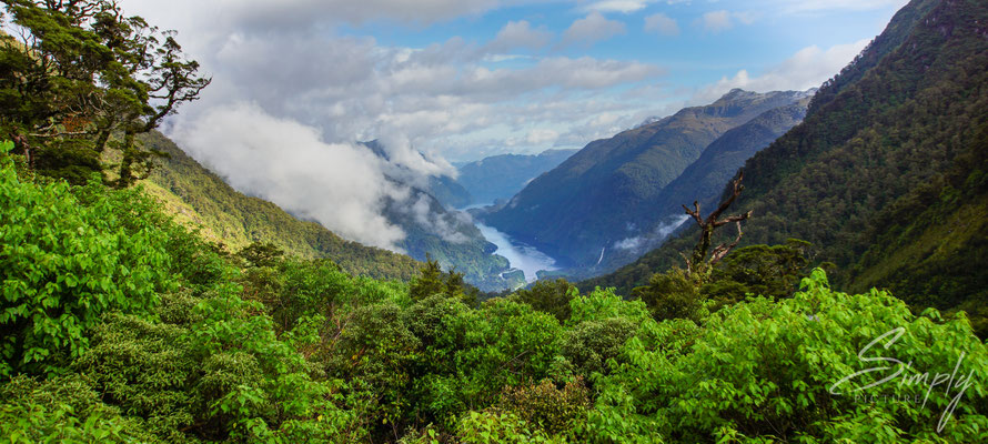Manapouri, Doubtful Sound, Sicht auf den Sound bei der Fahrt im Fiordland National
