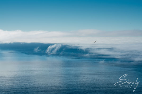 Sicht auf  das Meer mit einem Wolkenband von dem Latrabjarg in Patreksfjörður.