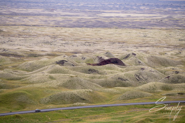 Älteres und bewachsenes Lavafeld in der nähe von Skaftárhreppur.