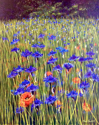'Cornflowers' original in acrylic on canvas SOLD