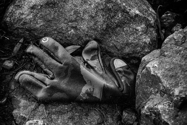 <b>Handschuh</b><br>(Foto: Reiner Gruhle)<br>1/160 | f/5.6 | 103 mm (154 mm) | ISO 4000