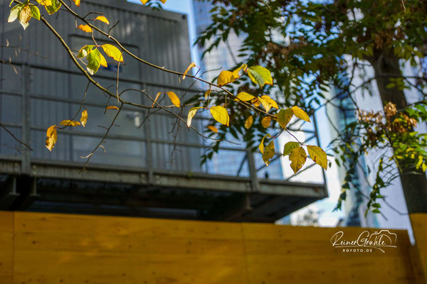 1/640 | f/2 | 35 mm (52 mm) | ISO 100