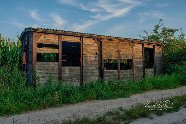 Alter Waggon im Feld bei Leeheim