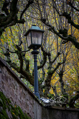 <b>Laterne</b><br>1/160 | f/6.3 | 98 mm (147 mm) | ISO 1000