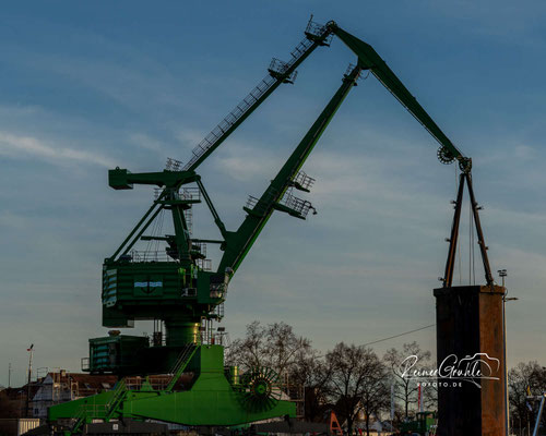 <b>Am Haken</b><br>(Foto: Reiner Gruhle)<br>1/125 | f/10 | 53 mm (79 mm) | ISO 100