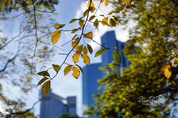 1/4000 | f/2 | 35 mm (52 mm) | ISO 100