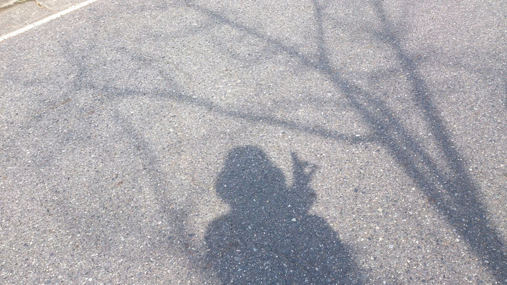 ～  ウサギ  ～  冬枝に  なに想う ? ...☆   (2016.1.15) (c) Yukie Arai